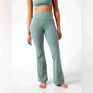Athletes Elation Flair Plant